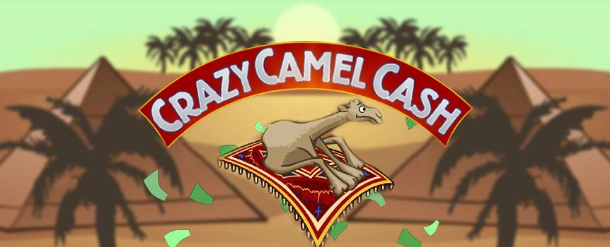 Camel rides through a desert, anyone? This online slots game takes you on an adventure through a hot desert on the back of a camel! From high up in the air, you will admire beautiful sites like ancient pyramids, flying carpets, and more. 