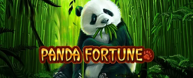 Panda Fortune