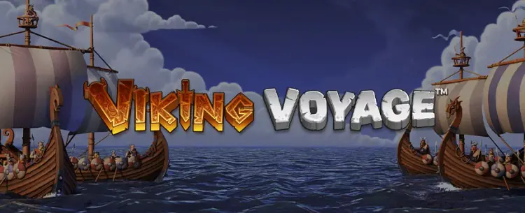 Viking Voyage