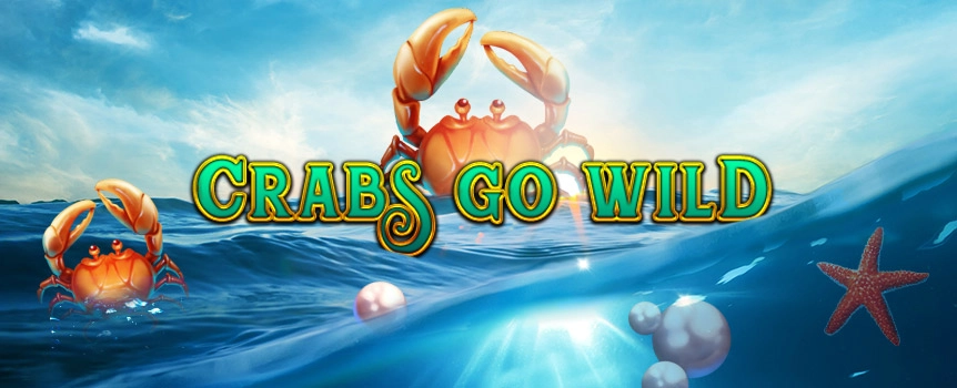 Venture under the sea, where the Crabs Go Wild!

