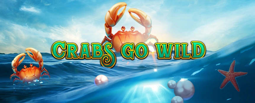 Venture under the sea, where the Crabs Go Wild!
A slot machine that ensures there’s never a dull moment when you’re out to sea.

Crabs, starfish, oysters and seashells by the seashore. Come hang out with this slot and make sure your day at the beach is never dull.

Five reels, nine lines, a Winning Multiplier and when you catch three wild crabs you’ll enter the Free Spins mode to unlock hidden treasure.

 
