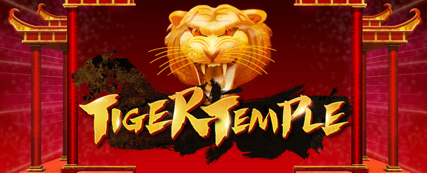 Tiger Temple will transport you to ancient China, home of the Golden Tiger as well as some almighty Prizes. 