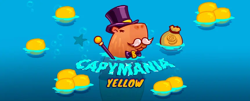 Try the Capymania Yellow online scratchcard here at Slots.lv and see if you can walk away with the game’s gigantic top prize, worth 100,000x your bet!