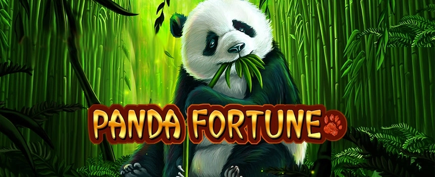 Find the pandas, fine a fortune with the Panda Fortune slot. 