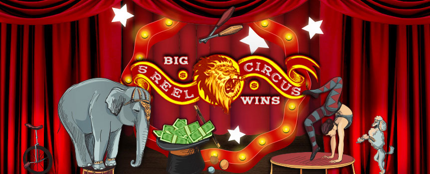 Missed going to the circus? Then 5 Reel Circus is a slots real money game that will give you the full circus experience. Not only is this online slots game realistic, but it is also simple to use. Whatever your favorite acts in circuses are – 5 Reel Circus has you covered. Think along the lines of bearded women, contortionists, performing animals, irreplaceable clown acts and many more. With a soda and some snacks in hand, you can kick back and enjoy yourself with this casino slots game while still making money.
