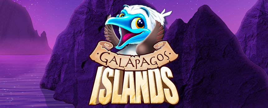 You’ll encounter a group of weird and wonderful Prehistoric Creatures when you visit the Volcanic Galapagos Islands - these happy Critters simply love to spin Reels of this 4 Row, 5 Reel, 1,024 Payline slot and can’t get enough of helping players Win enormous Payouts!