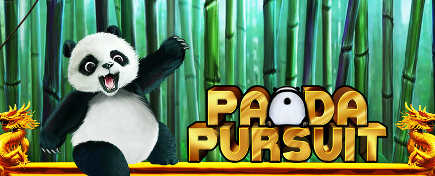 Find the panda and your fortune with the new Panda Pursuit slot game. 
