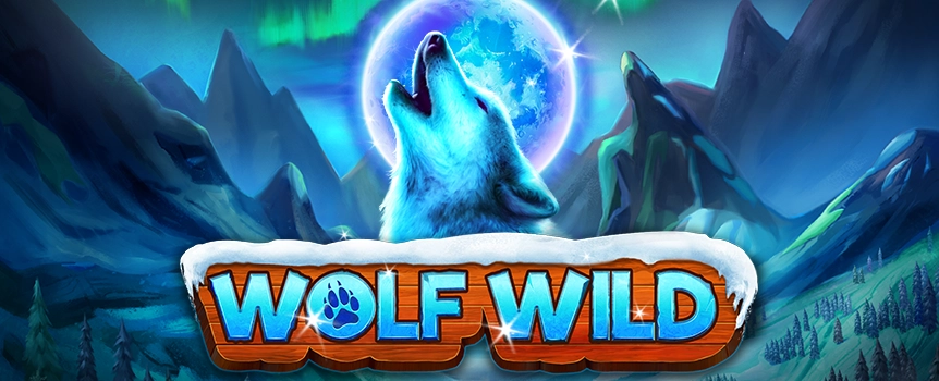 Wolf Wild is a challenging but exciting slot game. It will have you at the edge of your seat with features like free spins with multipliers, cash respins, and wolf wilds. 