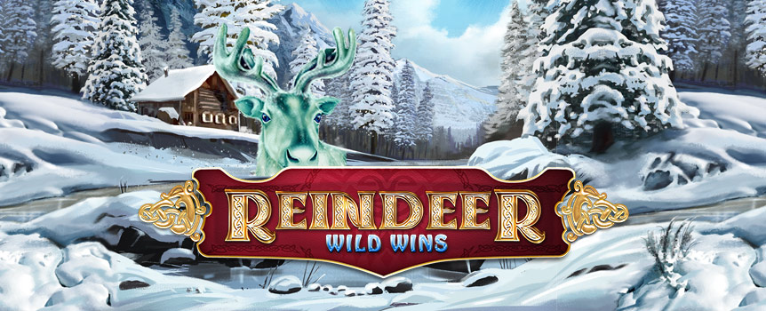 Get ready for reindeer games with Reindeer Wild Wins. This 5-reel slot puts you in snowy mountains for free spins and wins.