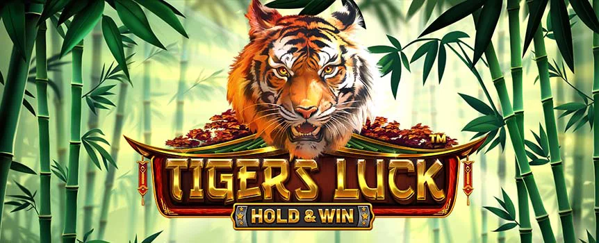 Will the powerful tiger bring you good and plentiful fortune? See for yourself in the Tigers Luck online slot game at Slots.lv.