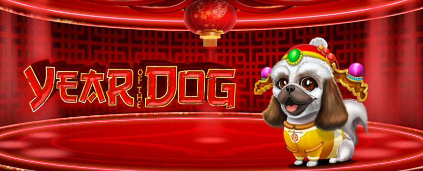 Year of the Dog will transport you to ancient China for an exhilarating adventure with enormous Prizes to offer.
