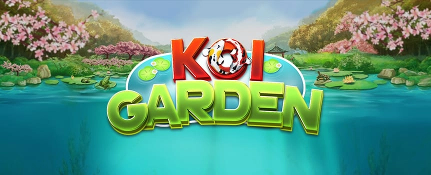 How amazing would it be to look at a Koi filled pond full of water lilies and cherry blossoms? Koi Garden brings you just that, the chance to make good money while your view is filled with beautiful water lilies, cherry blossoms, fountains, Koi, Bonsai trees, and many more features. The online slots game has a pleasing aesthetic that will have you relaxed and feeling good. While the visuals work on your mental wellness, you can go ahead and rake in as much money as possible. 