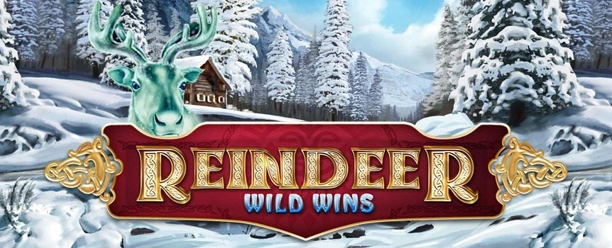 Ready to play some reindeer games? Reindeer Wild wins is a 5-reel online slot that puts you in the snowy mountains amongst the log cabins, dear and Nordic warriors! Join the hunt in the Reindeer Wild Free Spins and win up to 20 free spins and you can re-trigger even more! Available on desktop and mobile devices.