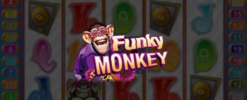 The Funky Monkey slot machine is a groovy online slot machine designed to help you win it big while you’re playing and maximize your fun and excitement. All of our online casino slots are real, offering you the opportunity to play for real money across hundreds of different games and stories, depending on your mood and what you’re interested in at any given moment. 