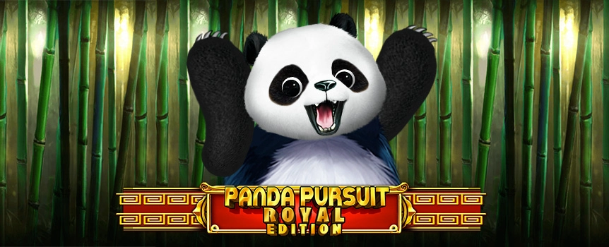 Panda Pursuit Royal Edition online slot packs the same panda power with bigger win potential on each spin. Play now!