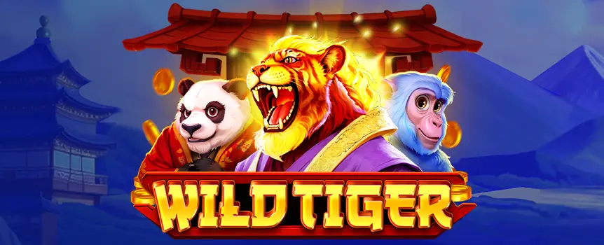 Spin the reels of the fun-filled Wild Tiger online slot today at Slots.lv and see if you can win the game’s gigantic top prize of an impressive 3,000x your bet!