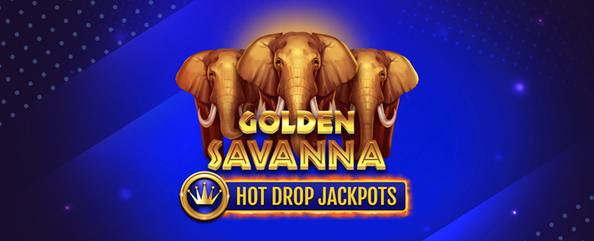 Behold, the beautiful Golden Savanna - home to some stunning Wild Creatures that love to roam freely and help those that play with them score some ginormous Prizes! 