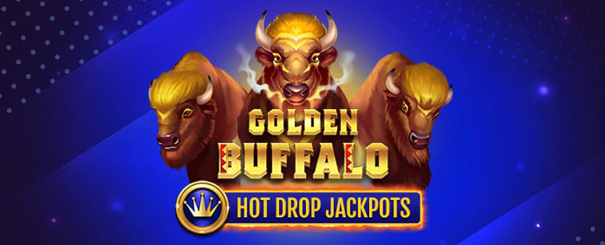 What if you could play with a raging buffalo and remain safe? Sounds fun, exhilarating, and unimaginable, right? Well, worry no more as the online slots game Golden Buffalo gives you the chance to test your prowess against a buffalo. Its golden color adds to its appeal as well as the beauty of the game. This slots real money game offers you the chance to win real money in USD jackpots. If you are looking for excitement and adventure, then this is one of the best casino slots games. 