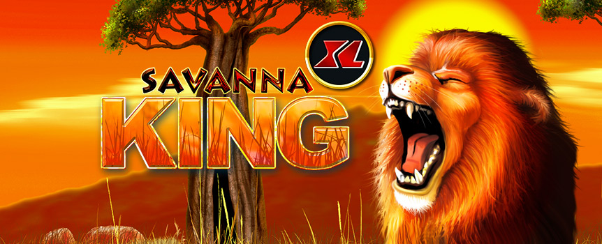 Play the Savanna King XL online slot | Slots.lv