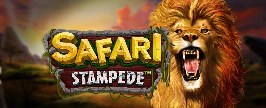 Are you ready to go on a safari? Then check out Safari Stampede at Slots.lv, where African wildlife comes alive and wins can be worth thousands of dollars.