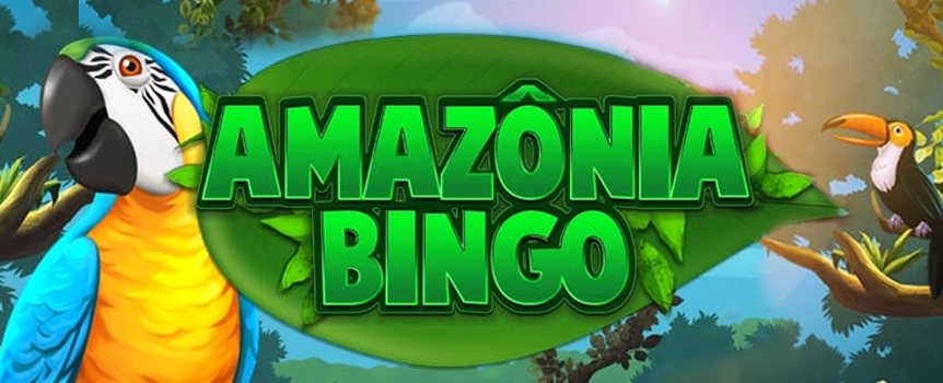 Deep in the Amazonian rainforest, lies the rarest bingo game in the world: Amazonia Bingo.  If you want to win exotic payouts, you'll have to trek to the Amazon and set up four bingo cards in the lush vegetation. With a progressive jackpot, extra balls feature, and a wild bonus round, this game's got a lot to offer.