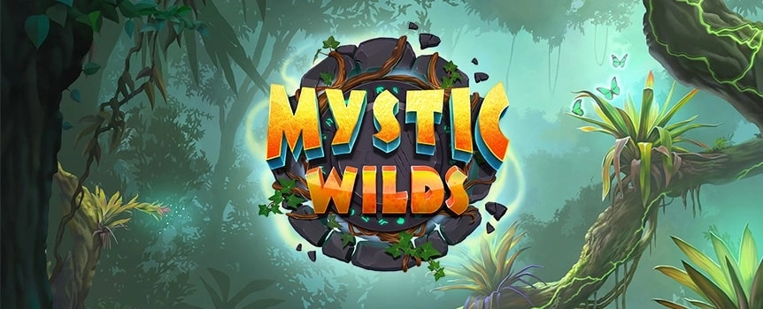Take a spin on this exhilarating 3 Row, 5 Reel, 243 Payline slot where you’ll be transported into a deep, evergreen Forest to meet a gorgeous Mystical Woman that lives there with her Spirit Animal friends such as the Grizzly Bears, flocks of Birds, and many, many Reptiles.