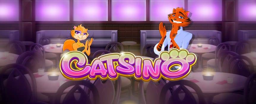 Here's your first Cat run Casino and guess what? You have front row tickets! This 50-line slot video poker game gives you firsthand experience of cats as they present to you deals that will make you a fortune. All you have to do is spin this live dealer game and wait for a business cat who will be your ticket to financial freedom. The business cat will; be dressed in a blue suit. This online slots game will offer you cute looking felines and a ton of cash. 