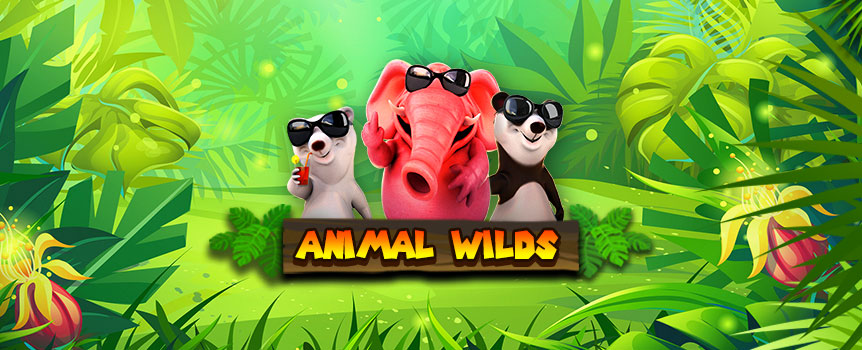Have you been to the zoo lately? If not, this is your chance! This slots real money game will have you sipping margaritas with animals laying around the pool. The online slots game is easy to play and will have you enjoying the game to the end. In this game, numerous features will keep you winning huge jackpots. You get free spins, wilds, and bonus games that make this one of the best slots games out there. If you are looking for immense entertainment with views of exotic animals in their element, then this is the game you need. Keep playing this game to pile your savings with wins as you have never seen before. 

